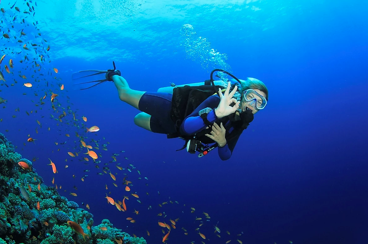 海底漫步&浮潜体验